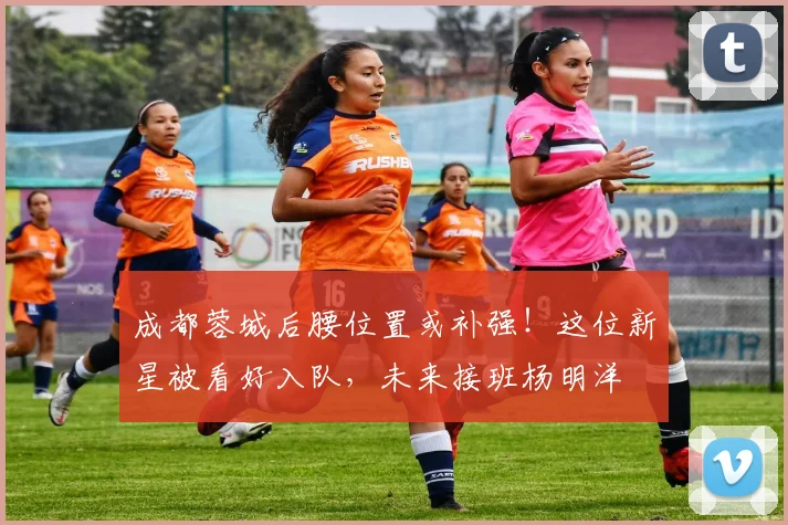 成都蓉城后腰位置或补强！这位新星被看好入队，未来接班杨明洋